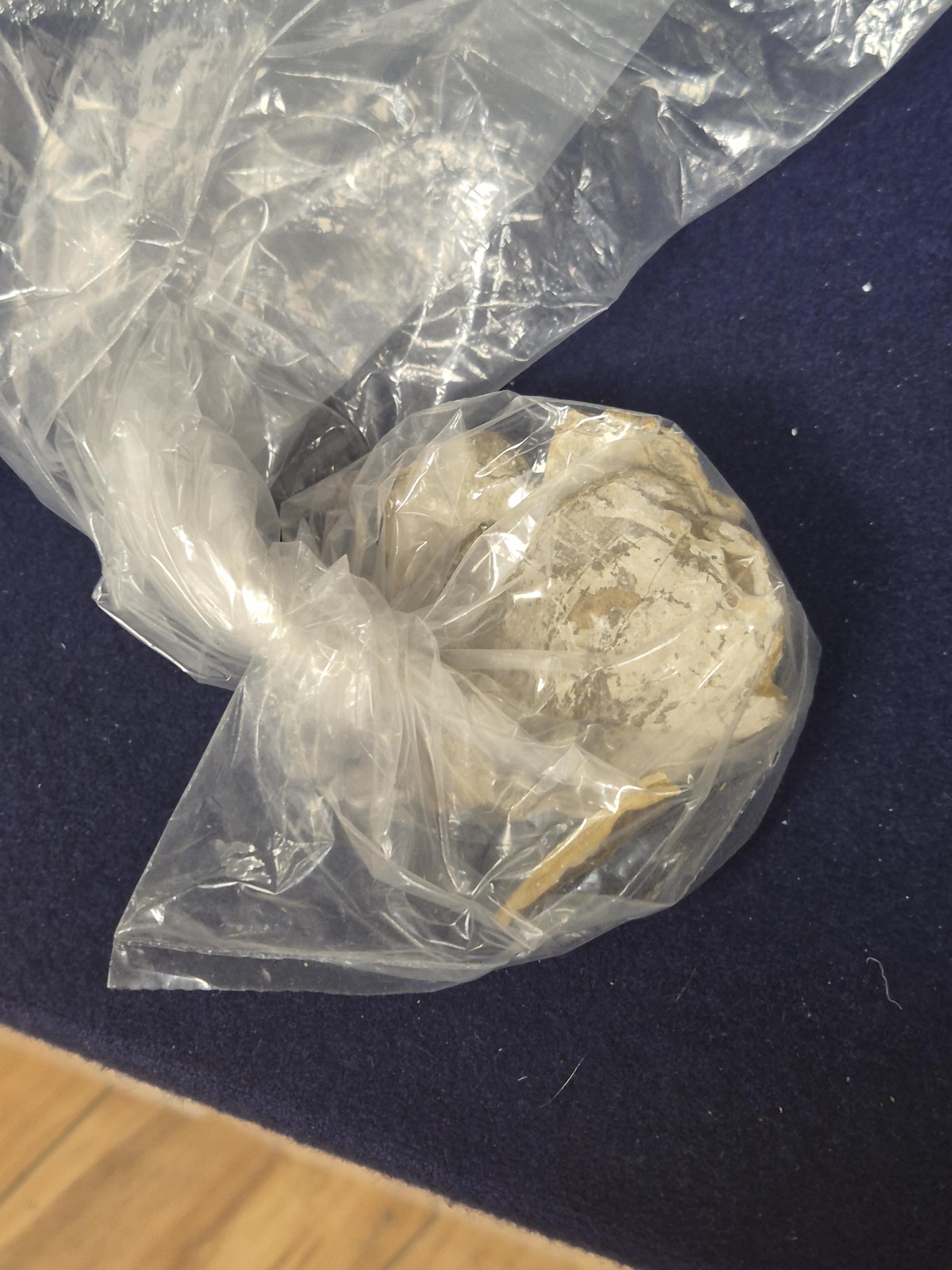 18th century, Dutch School, Portrait of a gentleman in 16th century dress, oil on wood panel, 13 x 9.5cm, ornate gilt frame (a.f.)